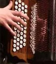 Accordéon et TMS